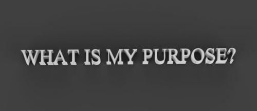My Purpose