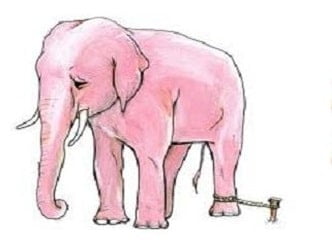 Elephant with Rope
